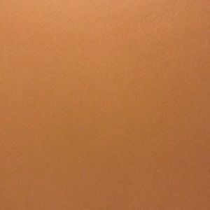 Meet your Posher, Kylee